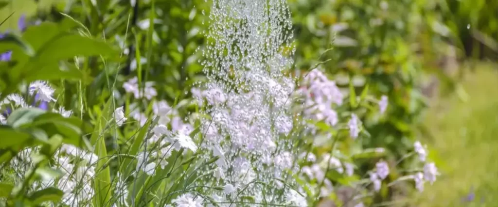 Watering plants - Farrell’s Lawn And Garden Center