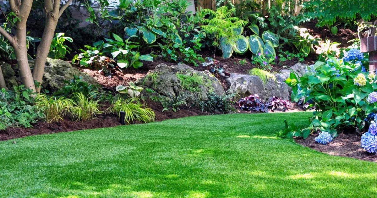 Artificial grass in backyard