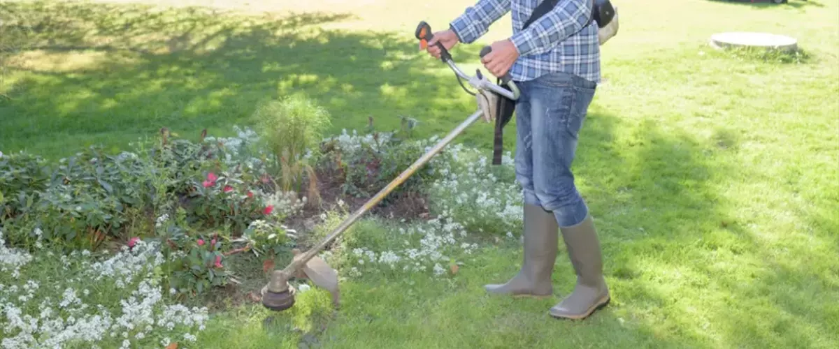 Main maintaining a commercial landscape