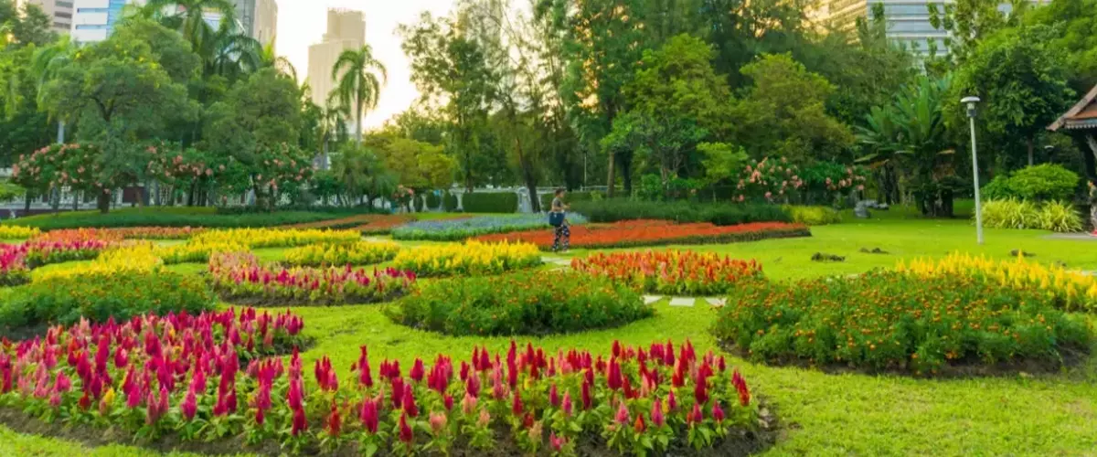 Public park looking incredible due to commercial landscape maintenance