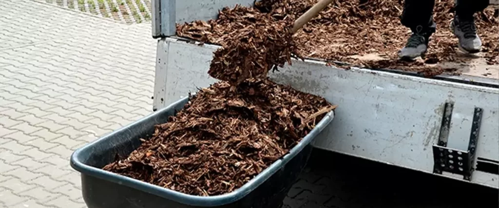 Shoveling mulch from a truck into a wheelbarrow