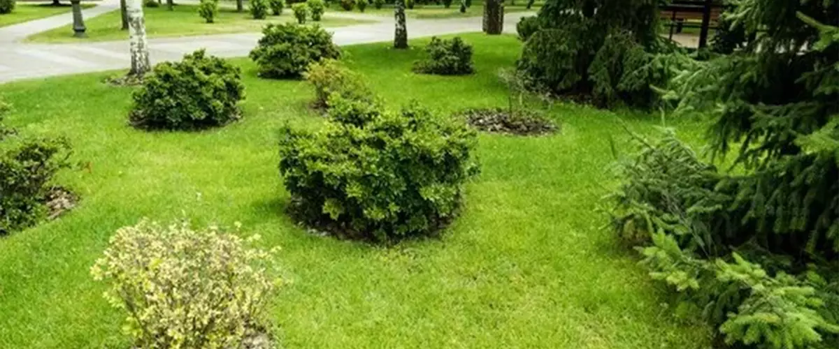 Basic Landscape Maintenance Service - Farrell’s Lawn And Garden Center
