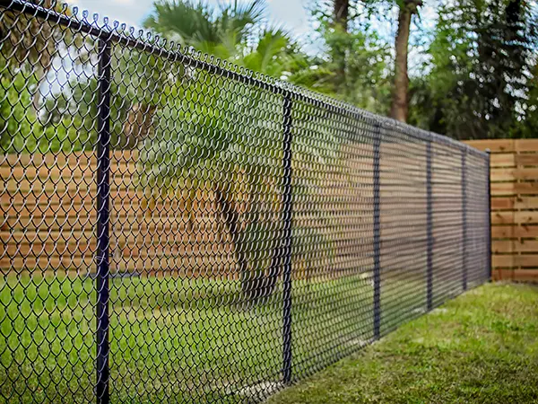 beautiful chain link fence