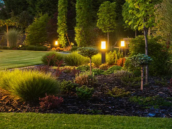 Beautiful landscape design with outdoor lighting