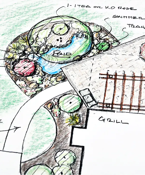 Landscape design drawing