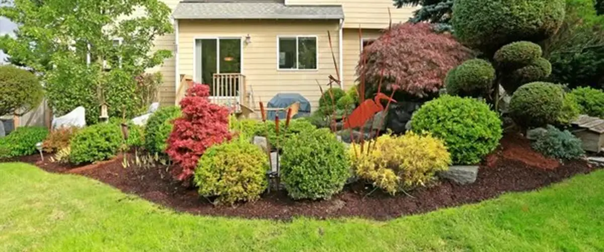 Backyard landscaping with mulch area filled with a variety of plants
