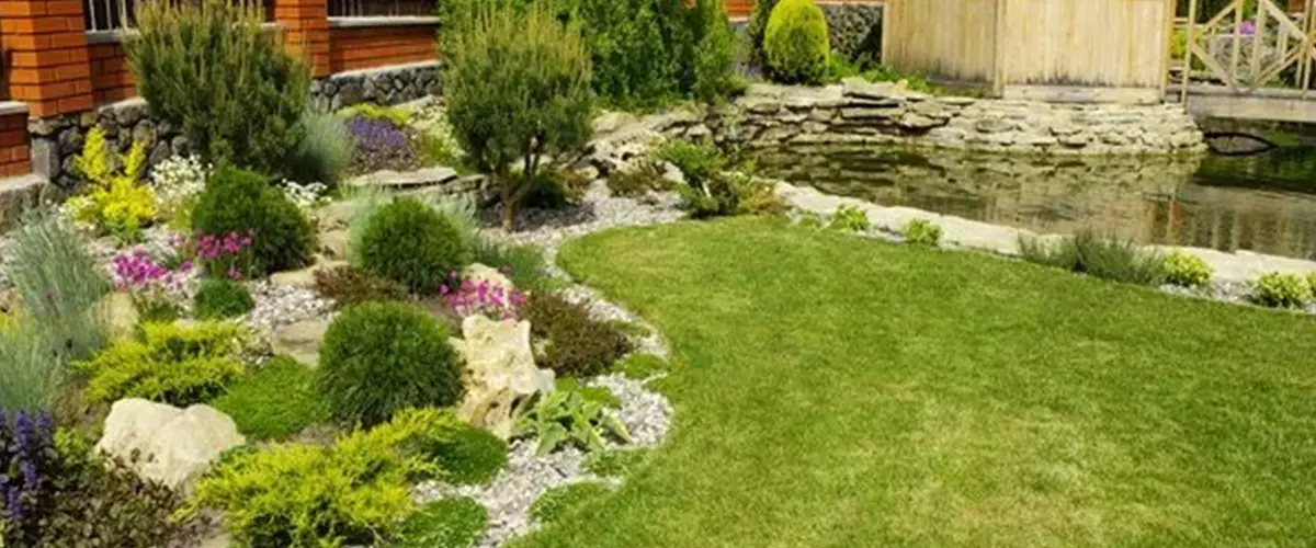 Rocky landscaping with various small plants throughout it