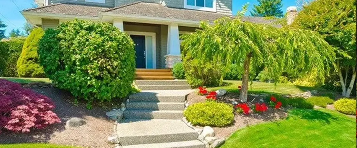 Front yard landscaping fo a short tree and shrubs and plants along a walkway leading up to the door