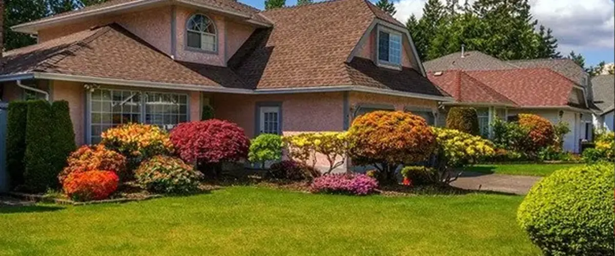 Front yard landscaping picture with small trees and colorful shrubs