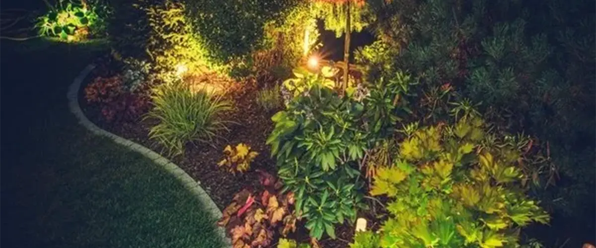 Landscape lighting in a natural area