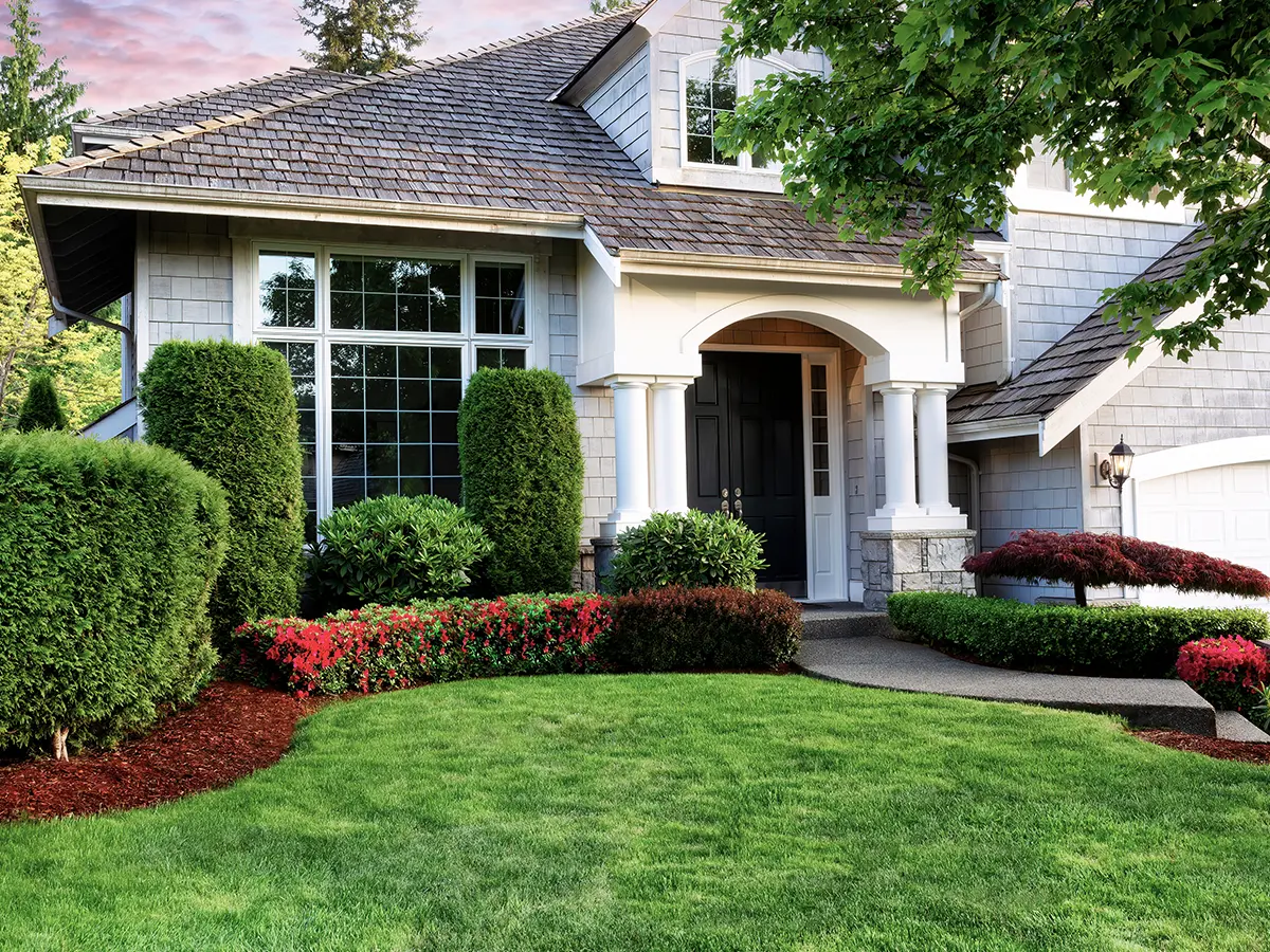 bush trimming garden landscaping