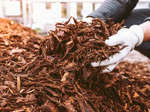 installing mulch