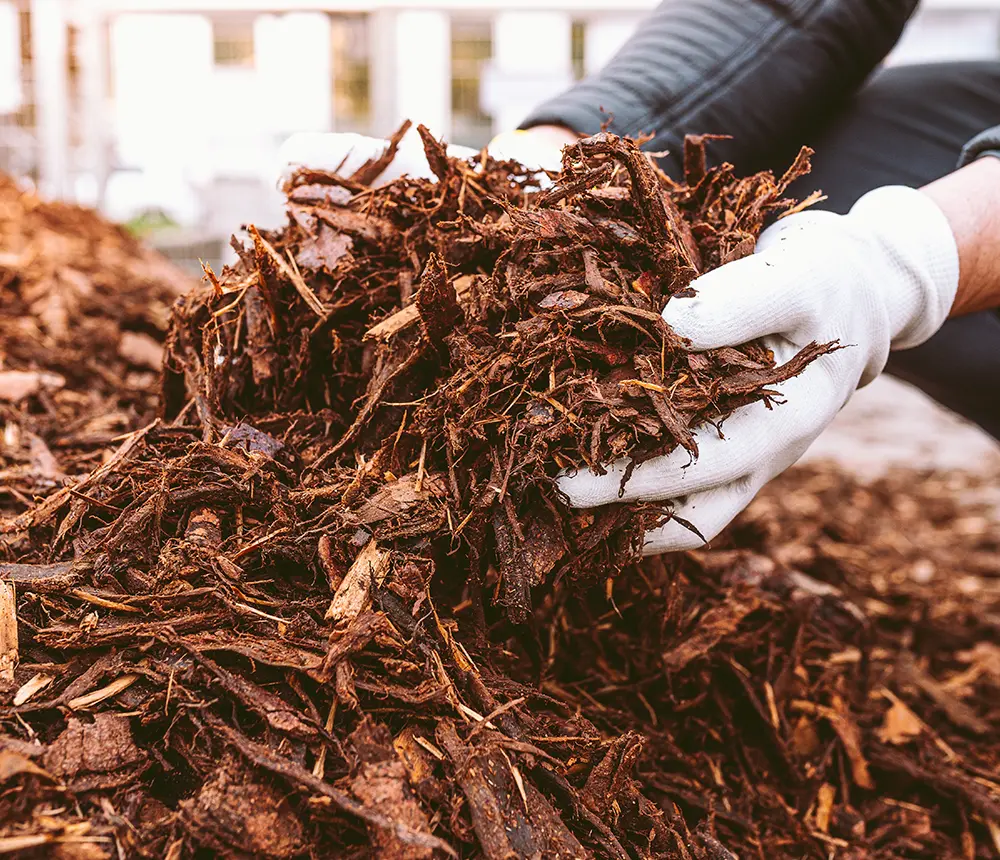 mulch-installation-header