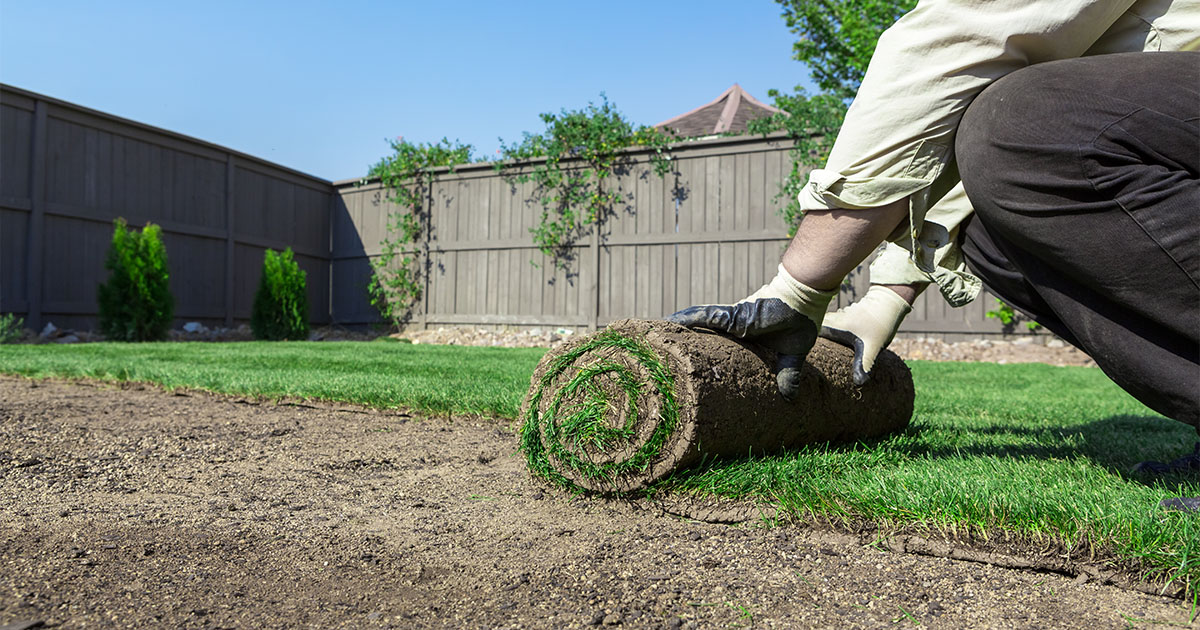 Sod Installation In Bryan, Archbold, Defiance, Napoleon, And More Of OH