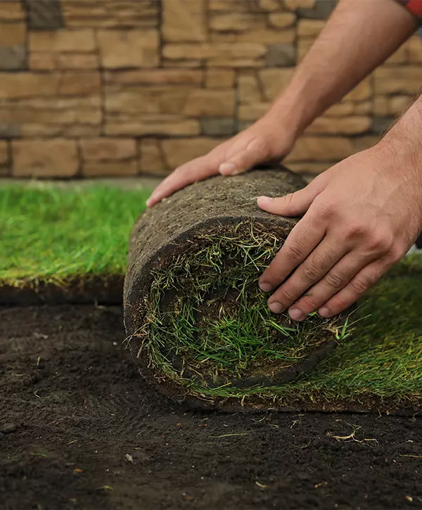 man laying grass sod on ground at backyard