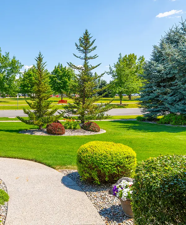 Tree Landscaping done in Ohio