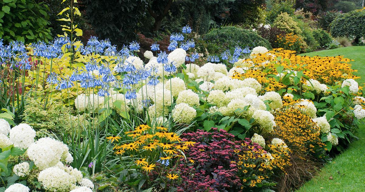 Garden With Perennials Colourful Plant Bed