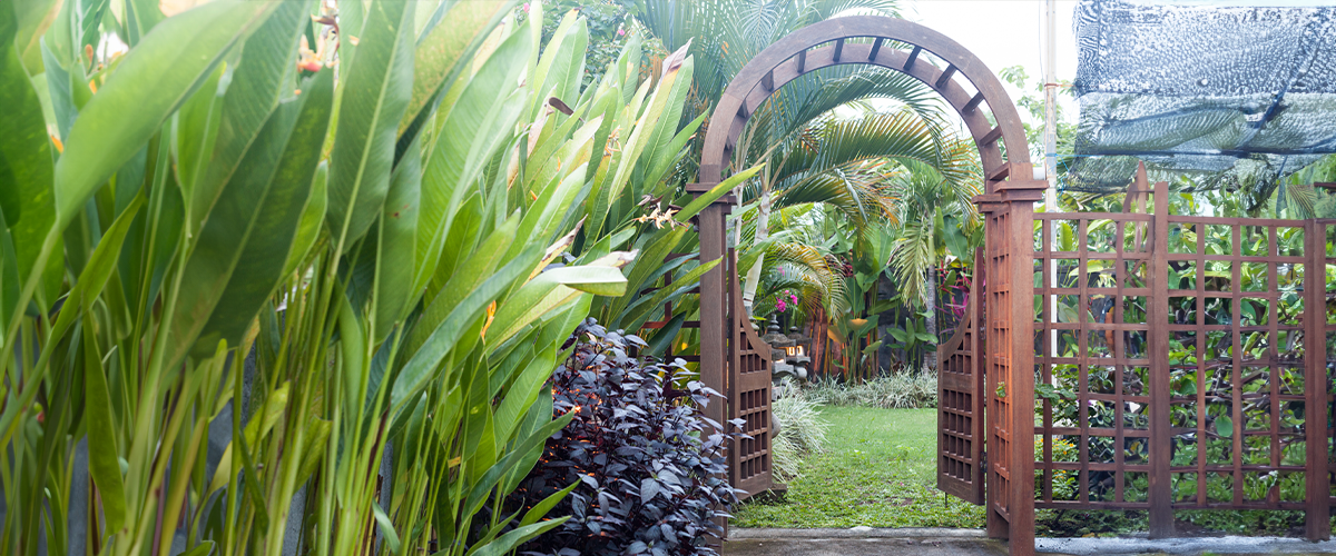 Wooden arbor with gate in garden. Wooden arched entrance to the backyard.