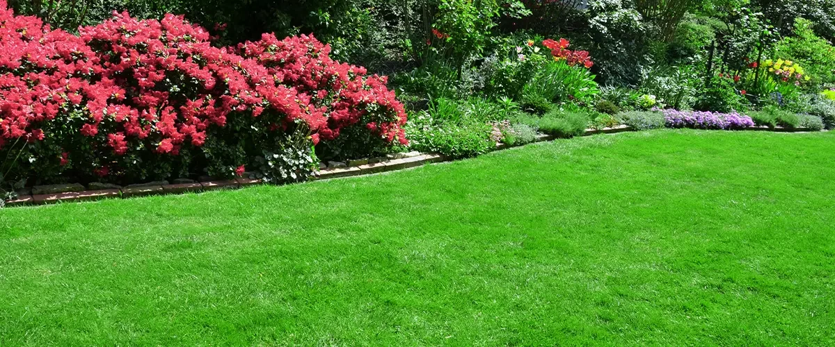 Healthy Fertilized Lawn By Farrell's Landscaping